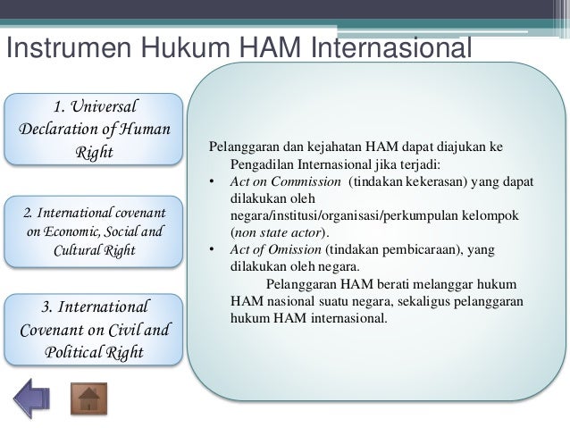 Instrumen HAM