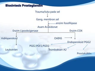 Trauma/luka pada sel

                            Gang, membran sel
                                           enzim fosofilipase
                             Asam Arakidonat
         Enzim Lipooksigenase                         Enzim COX

Hidroperoksid                            OAINS
                                                   Endoperoksid PGG2
                      PGE2,PGF2,PGD2
   Leukotrien                      Tromboksan A2
                                                          Prostaksiklin
 