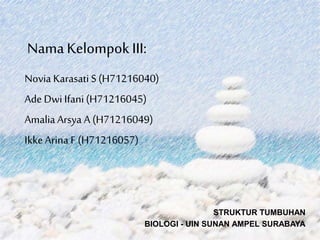 Nama KelompokIII:
Novia Karasati S (H71216040)
Ade Dwi Ifani(H71216045)
Amalia Arsya A (H71216049)
IkkeArina F (H71216057)
STRUKTUR TUMBUHAN
BIOLOGI - UIN SUNAN AMPEL SURABAYA
 