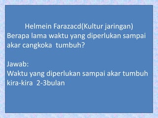 Helmein Farazacd(Kultur jaringan)
Berapa lama waktu yang diperlukan sampai
akar cangkoka tumbuh?
Jawab:
Waktu yang diperlukan sampai akar tumbuh
kira-kira 2-3bulan
 