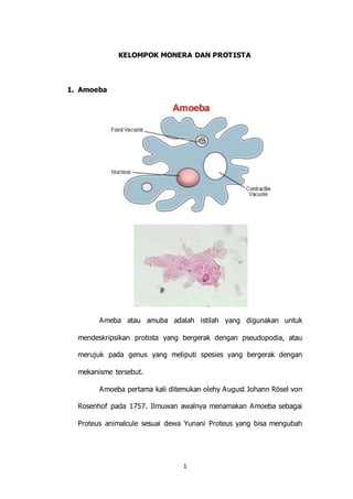 1
KELOMPOK MONERA DAN PROTISTA
1. Amoeba
Ameba atau amuba adalah istilah yang digunakan untuk
mendeskripsikan protista yang bergerak dengan pseudopodia, atau
merujuk pada genus yang meliputi spesies yang bergerak dengan
mekanisme tersebut.
Amoeba pertama kali ditemukan olehy August Johann Rösel von
Rosenhof pada 1757. Ilmuwan awalnya menamakan Amoeba sebagai
Proteus animalcule sesuai dewa Yunani Proteus yang bisa mengubah
 