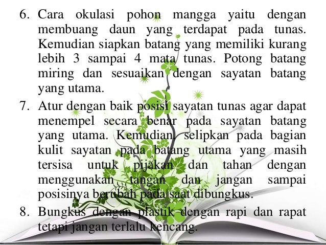Kelompok Okulasi