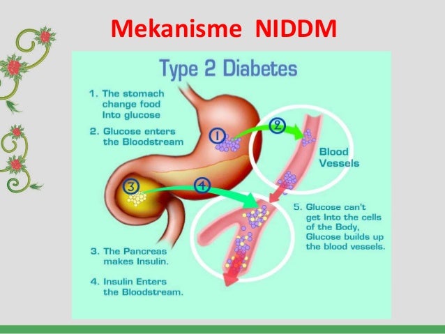 Terapi Insulin Diabetes Melitus IDDM NIDDM 