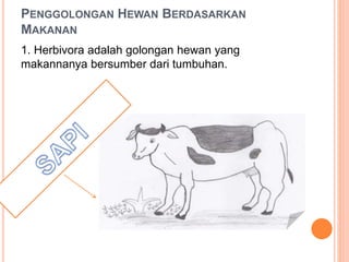 PENGGOLONGAN HEWAN BERDASARKAN 
MAKANAN 
1. Herbivora adalah golongan hewan yang 
makannanya bersumber dari tumbuhan. 
 