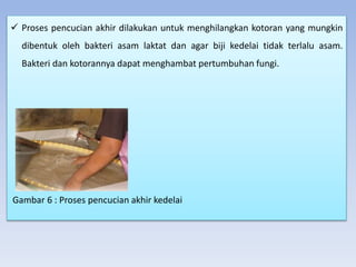  Proses pencucian akhir dilakukan untuk menghilangkan kotoran yang mungkin
dibentuk oleh bakteri asam laktat dan agar biji kedelai tidak terlalu asam.
Bakteri dan kotorannya dapat menghambat pertumbuhan fungi.
Gambar 6 : Proses pencucian akhir kedelai
 