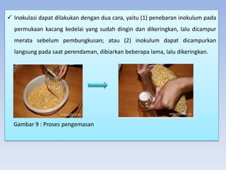  Inokulasi dapat dilakukan dengan dua cara, yaitu (1) penebaran inokulum pada
permukaan kacang kedelai yang sudah dingin dan dikeringkan, lalu dicampur
merata sebelum pembungkusan; atau (2) inokulum dapat dicampurkan
langsung pada saat perendaman, dibiarkan beberapa lama, lalu dikeringkan.
Gambar 9 : Proses pengemasan
 