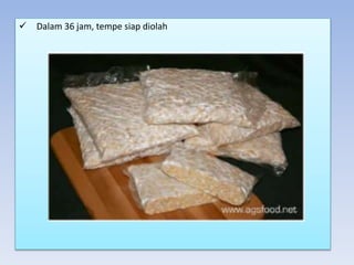  Dalam 36 jam, tempe siap diolah
 