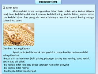  Bahan Baku
Memproduksi tempe menggunakan bahan baku pokok yaitu kedelai (Glycine
max). Jenis kedelai terdiri atas 4 macam, kedelai kuning, kedelai hitam, kedelai coklat
dan kedelai hijau. Para pengrajin tempe biasanya memakai kedelai kuning sebagai
bahan baku utama.
Gambar : Kacang Kedela
Syarat mutu kedelai untuk memproduksi tempe kualitas pertama adalah
sebagai berikut :
· Bebas dari sisa tanaman (kulit palang, potongan batang atau ranting, batu, kerikil,
tanah atau biji-bijian)
· Biji kedelai tidak luka atau bebas serangan hama dan penyakit
· Biji kedelai tidak memar
· Kulit biji kedeleai tidak keriput.
PRODUKSI TEMPE
 