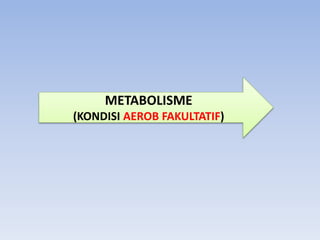 METABOLISME
(KONDISI AEROB FAKULTATIF)
 