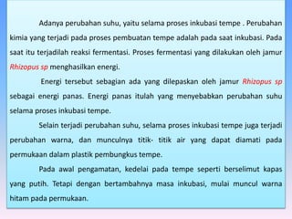 Adanya perubahan suhu, yaitu selama proses inkubasi tempe . Perubahan
kimia yang terjadi pada proses pembuatan tempe adalah pada saat inkubasi. Pada
saat itu terjadilah reaksi fermentasi. Proses fermentasi yang dilakukan oleh jamur
Rhizopus sp menghasilkan energi.
Energi tersebut sebagian ada yang dilepaskan oleh jamur Rhizopus sp
sebagai energi panas. Energi panas itulah yang menyebabkan perubahan suhu
selama proses inkubasi tempe.
Selain terjadi perubahan suhu, selama proses inkubasi tempe juga terjadi
perubahan warna, dan munculnya titik- titik air yang dapat diamati pada
permukaan dalam plastik pembungkus tempe.
Pada awal pengamatan, kedelai pada tempe seperti berselimut kapas
yang putih. Tetapi dengan bertambahnya masa inkubasi, mulai muncul warna
hitam pada permukaan.
 