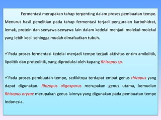 Fermentasi merupakan tahap terpenting dalam proses pembuatan tempe.
Menurut hasil penelitian pada tahap fermentasi terjadi penguraian karbohidrat,
lemak, protein dan senyawa-senyawa lain dalam kedelai menjadi molekul-molekul
yang lebih kecil sehingga mudah dimafaatkan tubuh.
Pada proses fermentasi kedelai menjadi tempe terjadi aktivitas enzim amilolitik,
lipolitik dan proteolitik, yang diproduksi oleh kapang Rhizopus sp.
Pada proses pembuatan tempe, sedikitnya terdapat empat genus rhizopus yang
dapat digunakan. Rhizopus oligosporus merupakan genus utama, kemudian
Rhizopus oryzae merupakan genus lainnya yang digunakan pada pembuatan tempe
Indonesia.
 