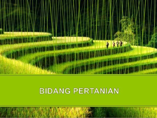 Kearifan Dalam Pemanfaatan Sumber Daya Alam
