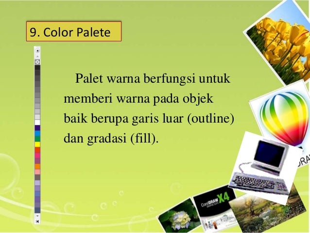 Corel Draw 40372741