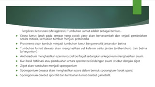 Pergiliran Keturunan (Metagenesis) Tumbuhan Lumut adalah sebagai berikut...
 Spora lumut jatuh pada tempat yang cocok yang akan berkecambah dan terjadi pembelahan
secara mitosis, kemudian tumbuh menjadi protonema
 Protonema akan tumbuh menjadi tumbuhan lumut bergametofit jantan dan betina
 Tumbuhan lumut dewasa akan menghasilkan sel kelamin yaitu jantan (antheridium) dan betina
(arkegonium)
 Antheredium menghasilkan spermatozoid berflagel sedangkan arkegonium menghasilkan ovum.
 Dari hasil fertilisasi atau pembuahan antara spermatozoid dengan ovum disebut dengan zigot
 Zigot akan tumbuhan menjadi sporogonium
 Sporogonium dewasa akan menghasilkan spora dalam bentuk sporangium (kotak spora)
 Sporogonium disebut sporofit dan tumbuhan lumut disebut gametofit.
 
