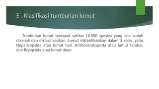 E . Klasifikasi tumbuhan lumut
Tumbuhan lumut terdapat sekitar 16.000 spesies yang kini sudah
dikenali dan diklasifikasikan. Lumut diklasifikasikan dalam 3 kelas. yaitu
Hepaticopsida atau lumut hati, Anthocerotopsida atau lumut tanduk,
dan Bryopsida atau lumut daun.
 