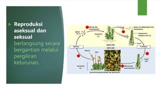  Reproduksi
aseksual dan
seksual
berlangsung secara
bergantian melalui
pergiliran
keturunan.
 