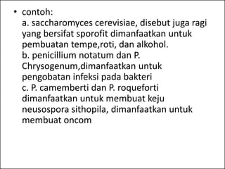 • contoh:
  a. saccharomyces cerevisiae, disebut juga ragi
  yang bersifat sporofit dimanfaatkan untuk
  pembuatan tempe,roti, dan alkohol.
  b. penicillium notatum dan P.
  Chrysogenum,dimanfaatkan untuk
  pengobatan infeksi pada bakteri
  c. P. camemberti dan P. roqueforti
  dimanfaatkan untuk membuat keju
  neusospora sithopila, dimanfaatkan untuk
  membuat oncom
 