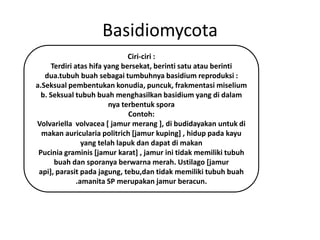 Basidiomycota
                              Ciri-ciri :
     Terdiri atas hifa yang bersekat, berinti satu atau berinti
   dua.tubuh buah sebagai tumbuhnya basidium reproduksi :
a.Seksual pembentukan konudia, puncuk, frakmentasi miselium
  b. Seksual tubuh buah menghasilkan basidium yang di dalam
                        nya terbentuk spora
                              Contoh:
Volvariella volvacea [ jamur merang ], di budidayakan untuk di
  makan auricularia politrich [jamur kuping] , hidup pada kayu
                yang telah lapuk dan dapat di makan
 Pucinia graminis [jamur karat] , jamur ini tidak memiliki tubuh
      buah dan sporanya berwarna merah. Ustilago [jamur
 api], parasit pada jagung, tebu,dan tidak memiliki tubuh buah
              .amanita SP merupakan jamur beracun.
 