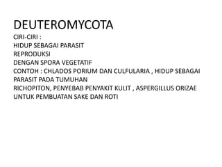 DEUTEROMYCOTA
CIRI-CIRI :
HIDUP SEBAGAI PARASIT
REPRODUKSI
DENGAN SPORA VEGETATIF
CONTOH : CHLADOS PORIUM DAN CULFULARIA , HIDUP SEBAGAI
PARASIT PADA TUMUHAN
RICHOPITON, PENYEBAB PENYAKIT KULIT , ASPERGILLUS ORIZAE
UNTUK PEMBUATAN SAKE DAN ROTI
 