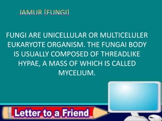 FUNGI ARE UNICELLULAR OR MULTICELULER
EUKARYOTE ORGANISM. THE FUNGAI BODY
  IS USUALLY COMPOSED OF THREADLIKE
    HYPAE, A MASS OF WHICH IS CALLED
               MYCELIUM.
 