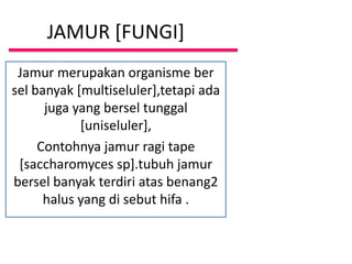 JAMUR [FUNGI]
 Jamur merupakan organisme ber
sel banyak [multiseluler],tetapi ada
      juga yang bersel tunggal
            [uniseluler],
     Contohnya jamur ragi tape
 [saccharomyces sp].tubuh jamur
bersel banyak terdiri atas benang2
      halus yang di sebut hifa .
 