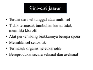 Ciri-ciri jamur

• Terdiri dari sel tunggal atau multi sel
• Tidak termasuk tumbuhan karna tidak
  memiliki klorofil
• Alat perkembang biakkannya berupa spora
• Memiliki sel senositik
• Termasuk organisme eukariotik
• Bereproduksi secara seksual dan aseksual
 