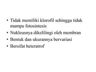 • Tidak memiliki klorofil sehingga tidak
  mampu fotosintesis
• Nukleusnya dikelilingi oleh membran
• Bentuk dan ukurannya bervariasi
• Bersifat heteratrof
 