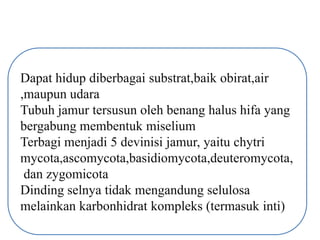 Dapat hidup diberbagai substrat,baik obirat,air
,maupun udara
Tubuh jamur tersusun oleh benang halus hifa yang
bergabung membentuk miselium
Terbagi menjadi 5 devinisi jamur, yaitu chytri
mycota,ascomycota,basidiomycota,deuteromycota,
 dan zygomicota
Dinding selnya tidak mengandung selulosa
melainkan karbonhidrat kompleks (termasuk inti)
 