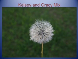 Kelsey and Gracy Mix 