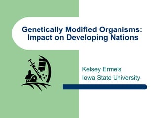 Genetically Modified Organisms:  Impact on Developing Nations Kelsey Ermels Iowa State University 