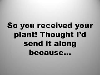 So you received your
 plant! Thought I’d
    send it along
     because…
 