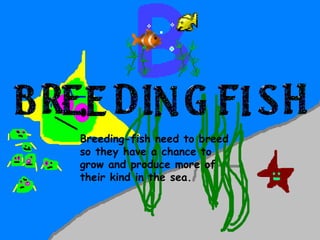 Breeding-fish need to breed so they have a chance to grow and produce more of their kind in the sea. 
