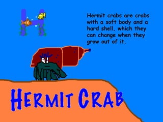 Hermit crabs are crabs with a soft body and a hard shell, which they can change when they grow out of it. 