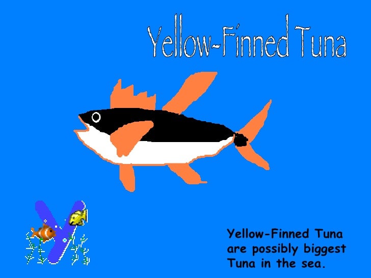Fishy Facts