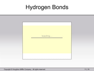 Hydrogen Bonds 