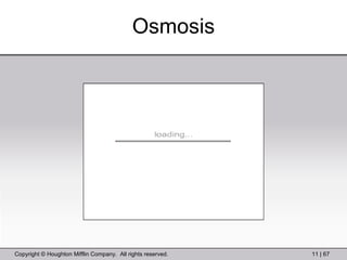 Osmosis 