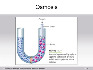 Osmosis 