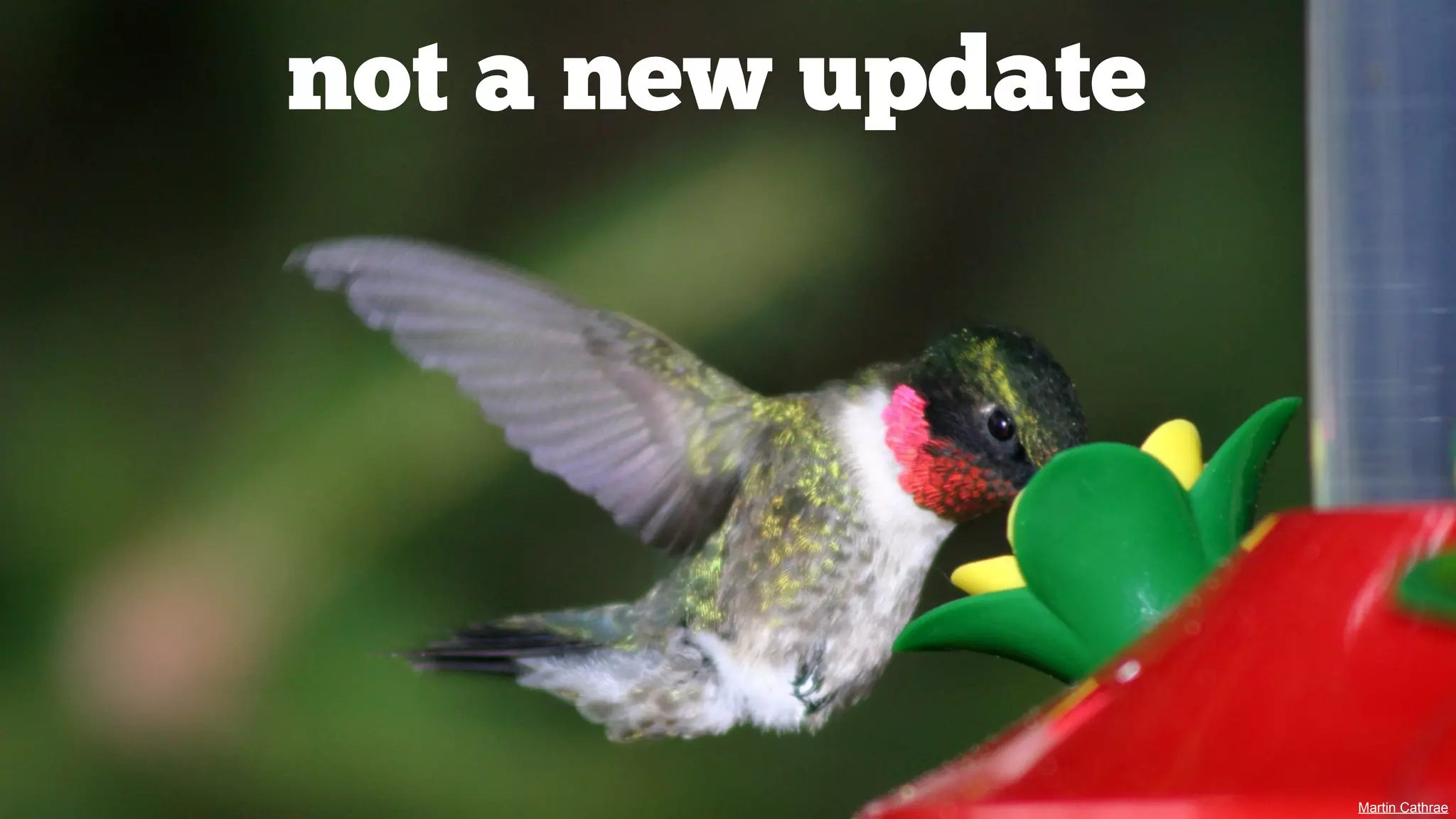 not a new update

Martin Cathrae

 