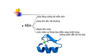 Kẽm tăng cường hệ miễn dịch cho thực vật