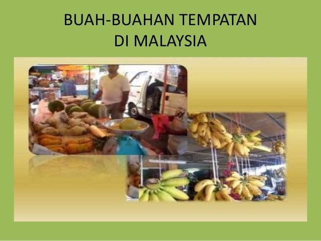 BUAH-BUAHAN TEMPATAN
