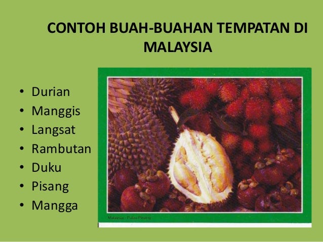 BUAH-BUAHAN TEMPATAN