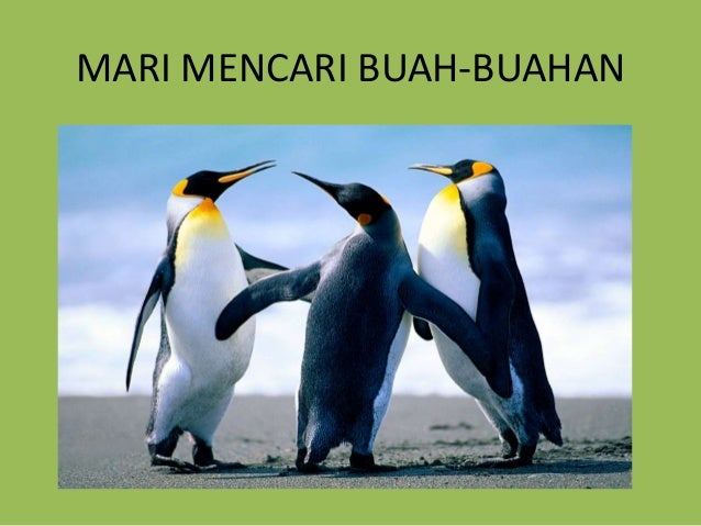 BUAH-BUAHAN TEMPATAN