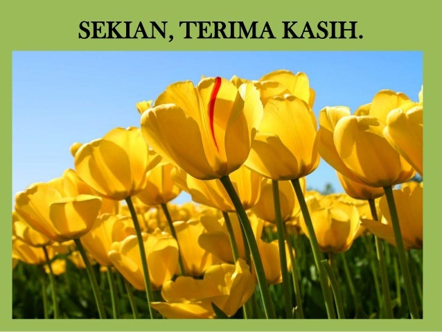 BUAH-BUAHAN TEMPATAN