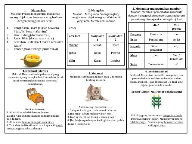 Kemahiran Proses Sains Dan Contoh
