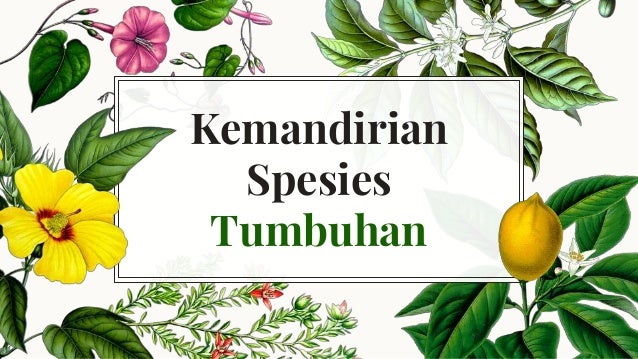 Kemandirian Spesies Tumbuhan