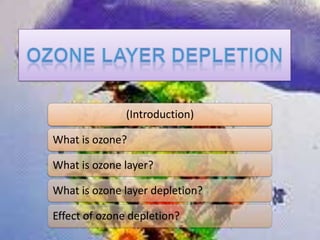 Ozone Layer Depletion 