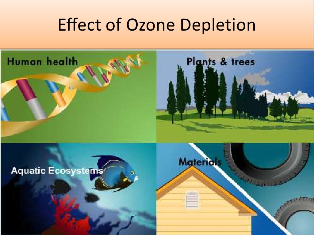 ozone depletion