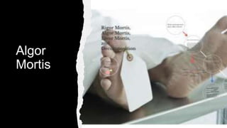 Algor
Mortis
