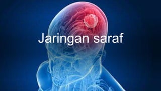 Jaringan saraf