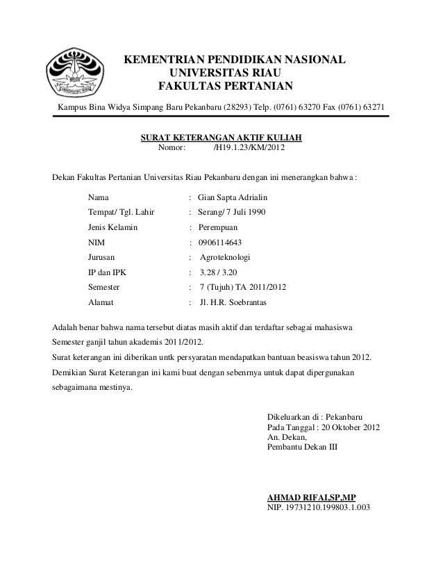 Contoh Surat Keterangan Aktif Kuliah Universitas Tadulako